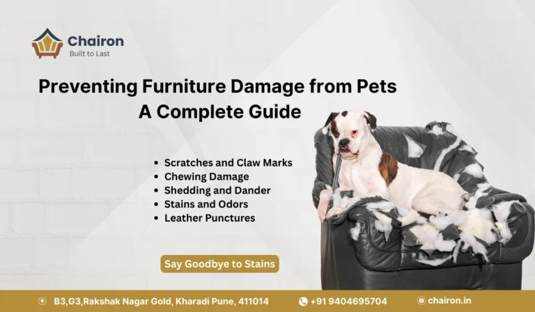 Preventing Furniture Damage from Pets – A Complete Guide