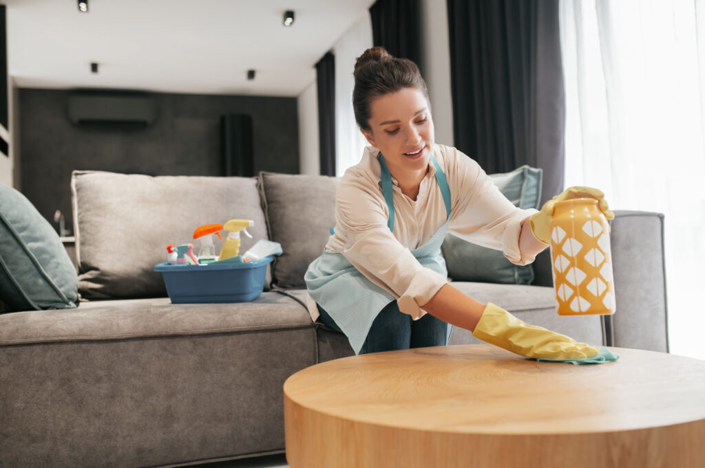 best home furniture cleaning in Pune